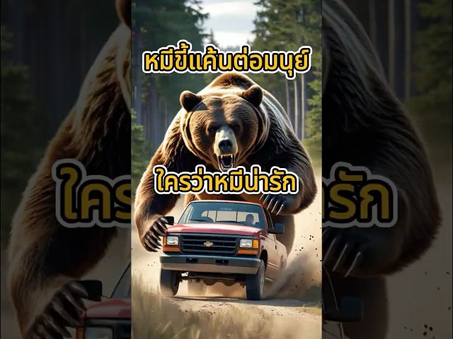 ใครบอกหมีน่ารัก มันขี้แค้นต่อมนุษย์สุดๆ  #สัตว์โลกน่ารัก #animals #เกร็ดความรู้  #หมี #สาระน่ารู้