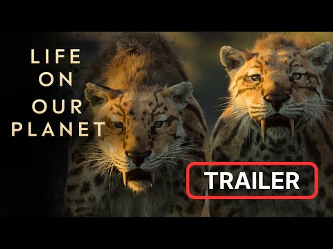 Life on Our Planet'