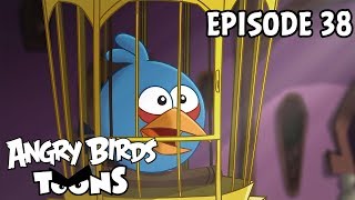Angry Birds Toons #38 - Najlep priate prasaa