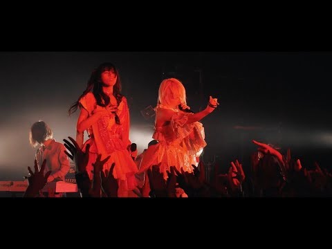 ぜんぶ君のせいだ。