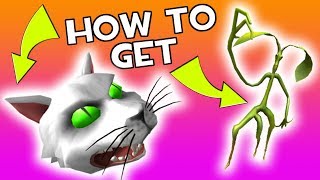 Event How To Get The Possessed Cat Head Roblox 2018 - event roblox halloween 2018