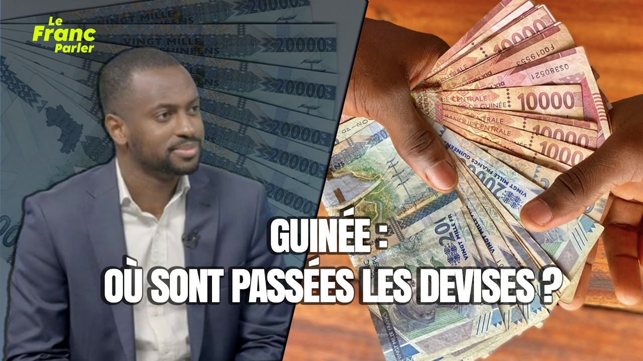 GUINÉE : OÙ SONT PASSÉES LES DEVISES ?