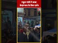 Uttarakhand: Rahul Gandhi ने Baba Kedarnath के किए दर्शन #shorts #shortsvideo #viralvideo