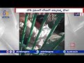 Man trapped in leopard cage after attempting to catch bait rooster