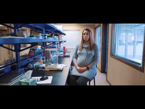 The Prenatal DHA Test measures the amount of the omega-3 DHA in your blood. DHA is important because studies have shown that women with higher DHA in their blood are less likely to have early preterm birth. The Prenatal DHA Test measures the amount of the omega-3 DHA in your blood. DHA is important because studies have shown that women with higher DHA in their blood are less likely to have early preterm birth.