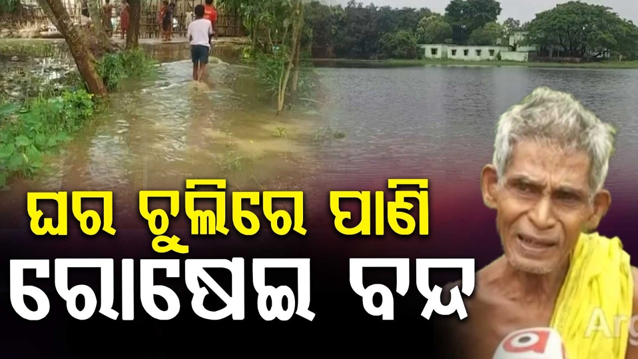 Heavy Rain Causes Waterlogging In Niali; Stranded People Request Gov Help | Argus News