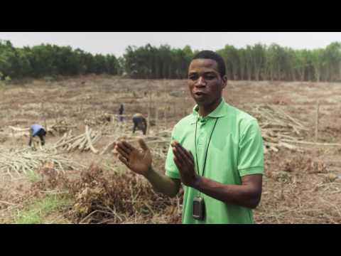 Chapitre 4: Republique Democratique du Congo (REDD+ et l'avenir des forêts africaines)