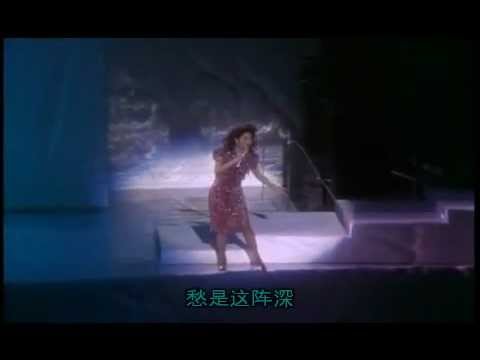 邓丽君 - 东山飘雨西山晴 (with lyrics sing along)
