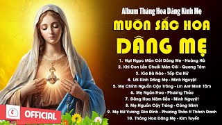Album Tháng Hoa Dâng Mẹ l Muôn Sắc Hoa Dâng Mẹ - Lòng Thành Dâng Mẹ l Những Bài Dâng Hoa Hay Nhất