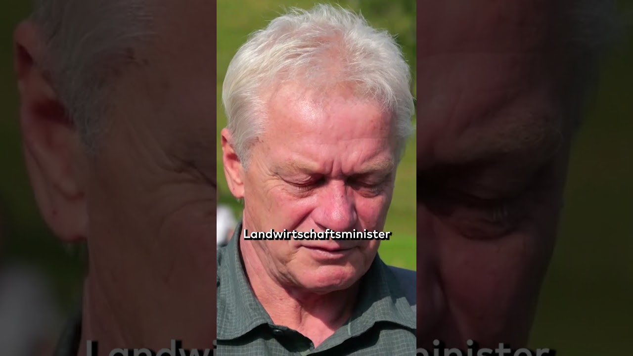 EU-STREIT UM VEGGIE-WURST: Parlament debattiert über Verbot pflanzlicher Produktnamen shorts