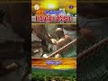 తిరుమల లో రథసప్తమి వేడుకలు - చక్రస్నానం  - 00:50 min - News - Video