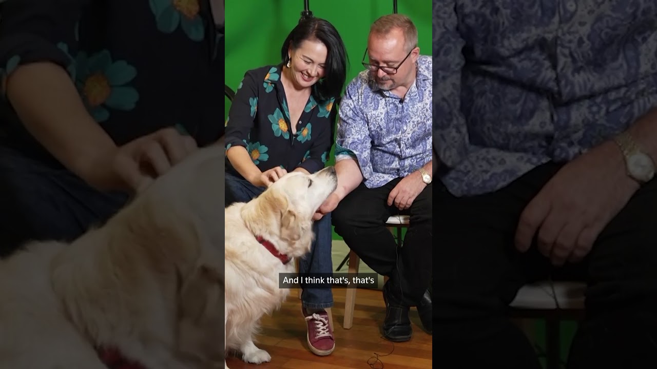 Young Australian content creators brace for social media ban