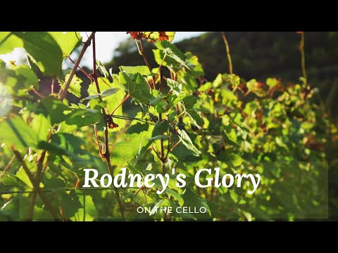 Elena Kopteva - Rodneys Glory