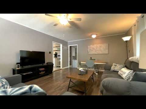 Property video