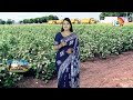ప్రత్తి తీతల్లో పాటించాల్సిన మెళకువలు | Cotton Cultivation Techniques | Matti Manishi | 10TV  - 03:36 min - News - Video
