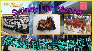 Sydney Fish Market 悉尼必到打卡美食位！ SFM