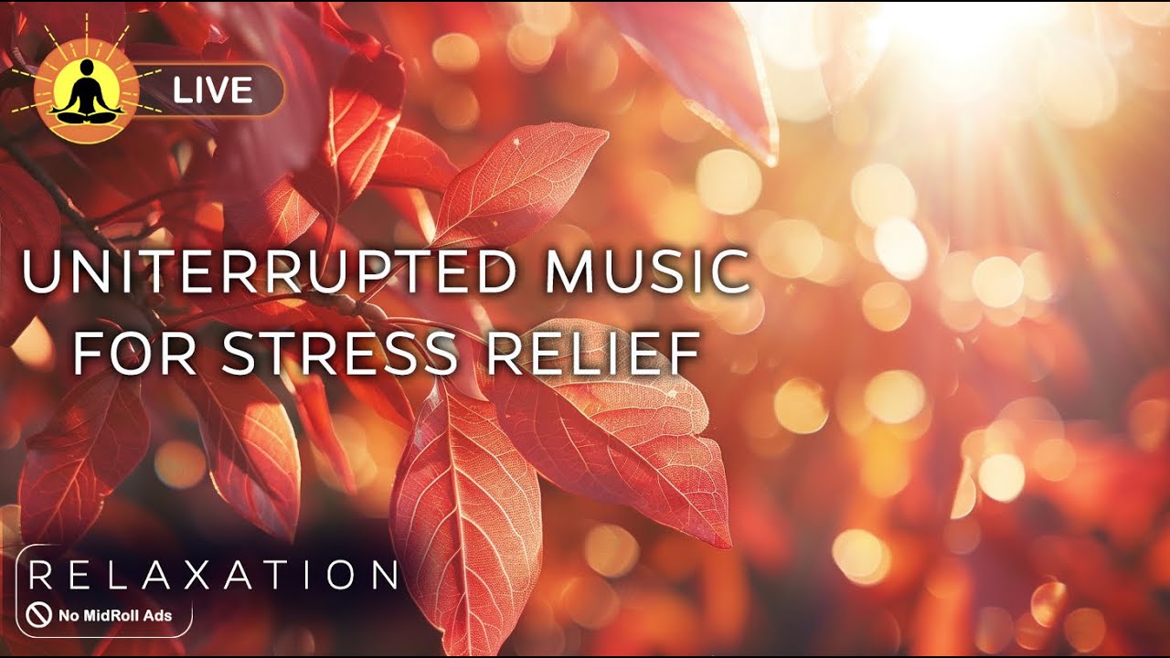 🔴 Relaxing Music 24/7 🌿3342 - Healing Stress, Anxiety and Depressive States | Heal Mind, Body & Soul