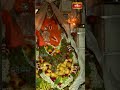 హనుమాన్ జయంతి శుభవేళ కొండగట్టు అంజన్న దివ్య దర్శనం #hanumanjayanti #kondagattuanjanna #bhakthitv  - 00:23 min - News - Video