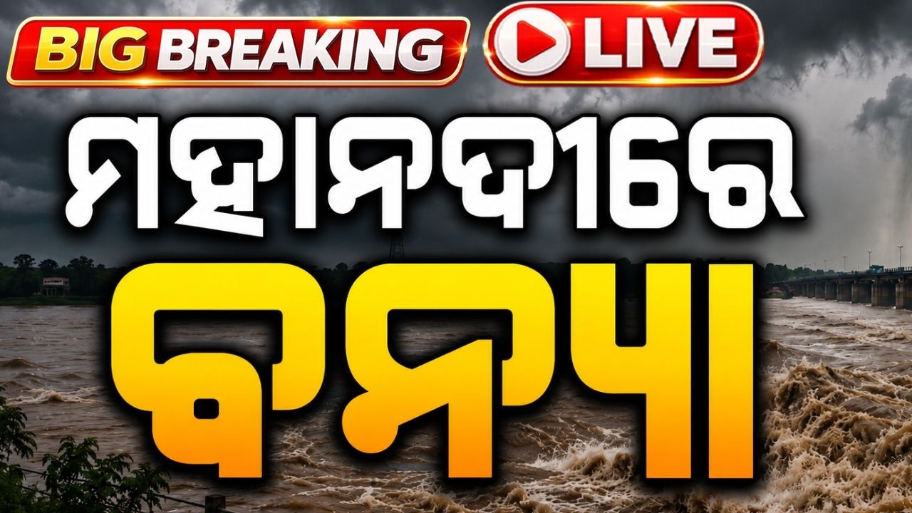 🔴Big Breaking : ମାଡ଼ିଆସୁଛି ବନ୍ୟା.. Mahanadi Flood | Flood Odisha | Flood News Today | Argus News