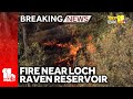 Brush fire near Loch Raven Reservoir