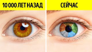 Раньше у людей был только один цвет глаз