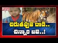 Terrific: Leopard kills child sleeping next to mother in Karnataka