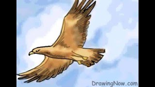 איך מציירים ציפור שעפה בשמיים 
