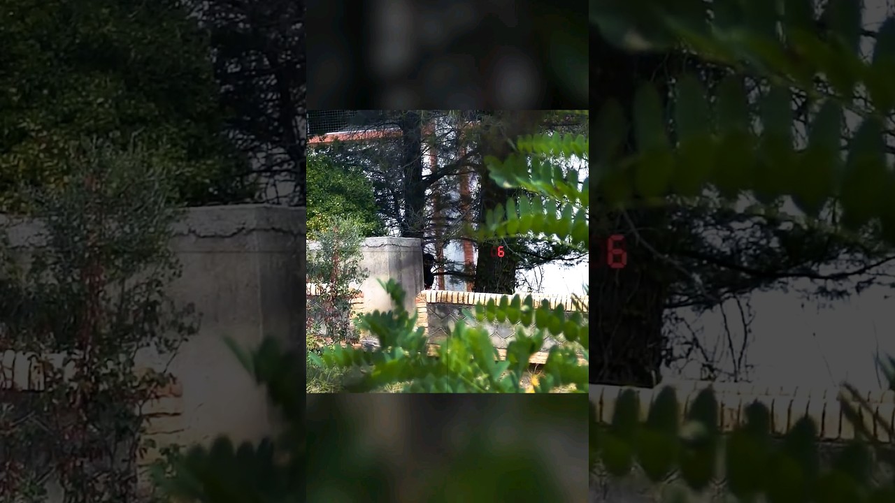 AIRSOFT FRANCE 🇫🇷 : Ce shoot au sniper 👀 #airsoft #airsoftfrance