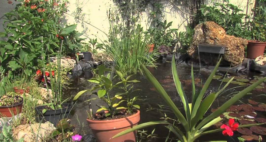 L’Actu – Un jardin insolite à Guyancourt