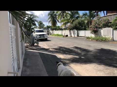 Property video