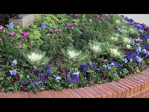screenshot of youtube video titled MUSC's Flower Beds and Containers