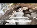 Pompeii excavations reveal three skeletons