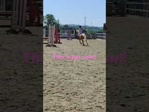 #ponies #polly