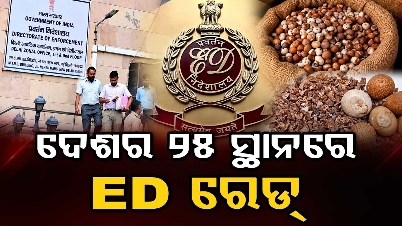 ED Raids Across 4 States In Betel Nut Smuggling & Bank Fraud | Argus News