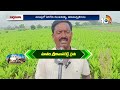 పసుపు పంటలో తెగుళ్ళ నివారణ | Pest Control in Turmeric Crop | Matti Manishi | 10TV News  - 06:03 min - News - Video
