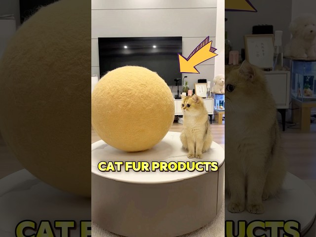 The owner made products out of cat fur