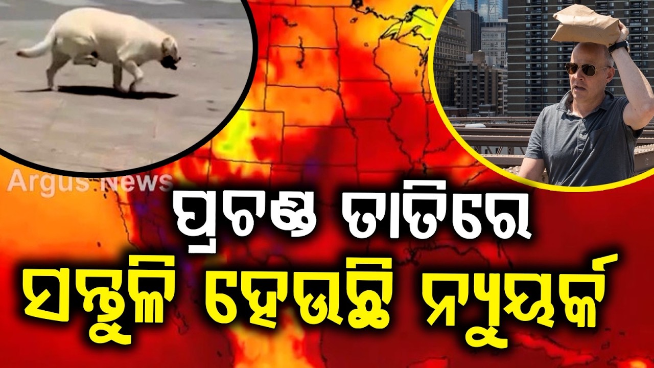 USA Weather Update: Records Broken in New York as Extreme Heatwave Sweeps Nation | Argus News