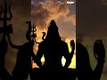 Lord of the Mountains! #NaadaShareeraa #Lordshivasongs #Mahadeva #Adityabhakthi - 00:58 min - News - Video