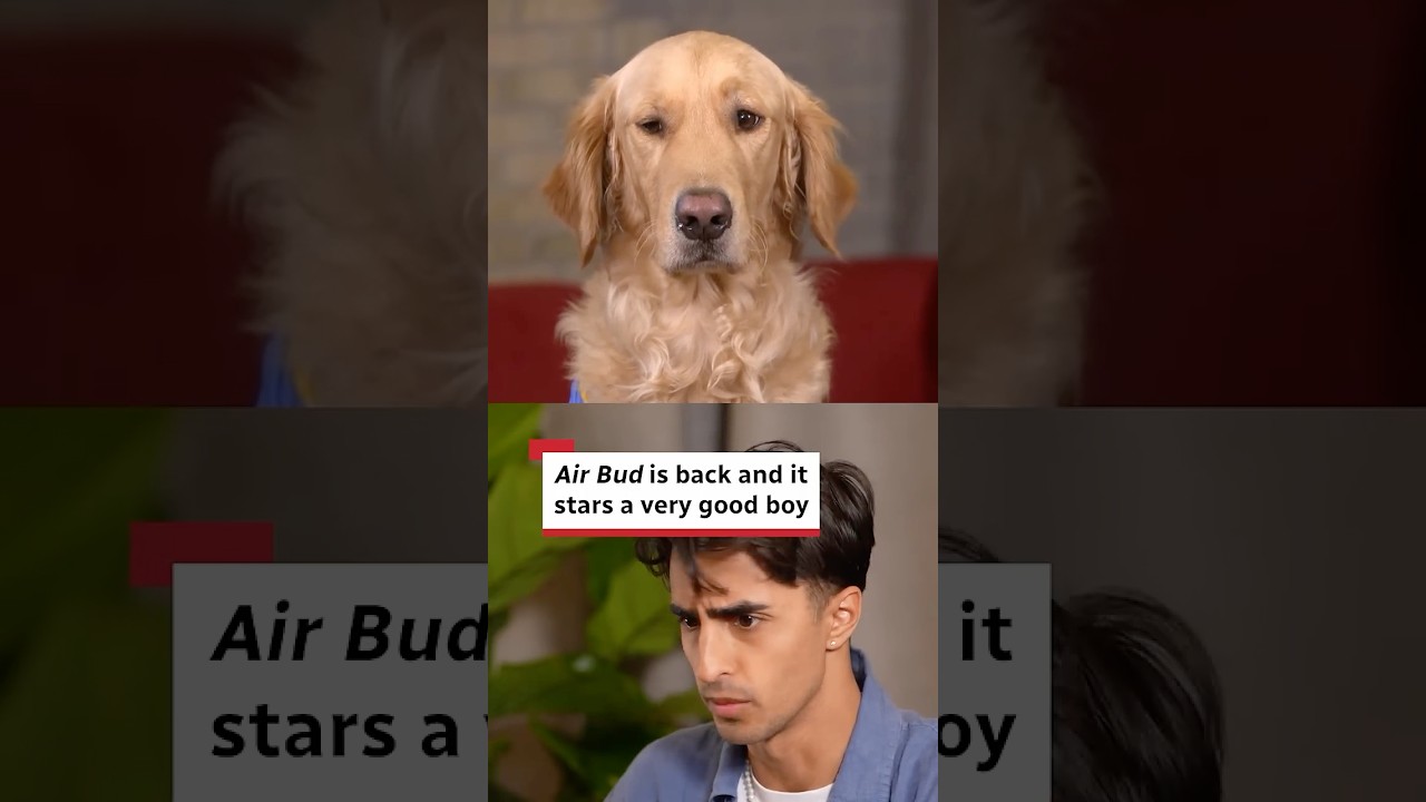Air Bud is back and it stars a very good boy