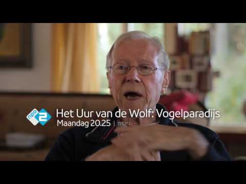 Vogelparadijs – Peter Vos, tekenaar'