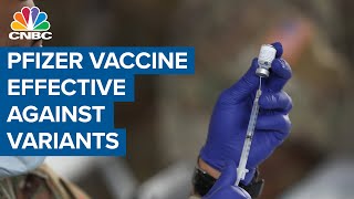 Pfizer vaccine neutralizes Brazil and U.K. variants of Covid-19: Lab study