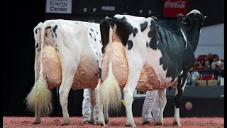 WORLD DAIRY EXPO 2024 - A maior feira de Pecuaria leiteira do mundo.