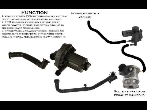 Bmw secondary air pump bypass #4