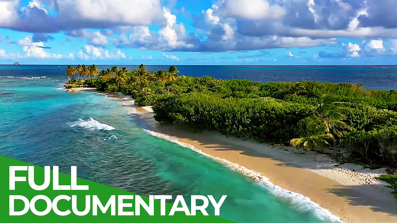 Saint Vincent and the Grenadines - Caribbean Island Paradise | Free Documentary Nature