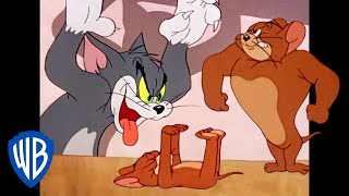 Tom a Jerry - Halloween