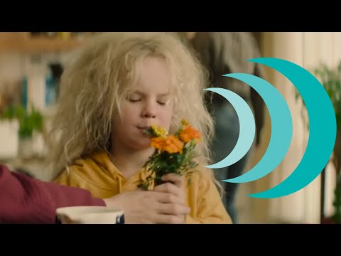 Sia, de rebelse bosfee'