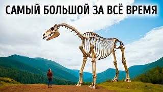 Крутые факты о животных, которых вы не знали до сих пор