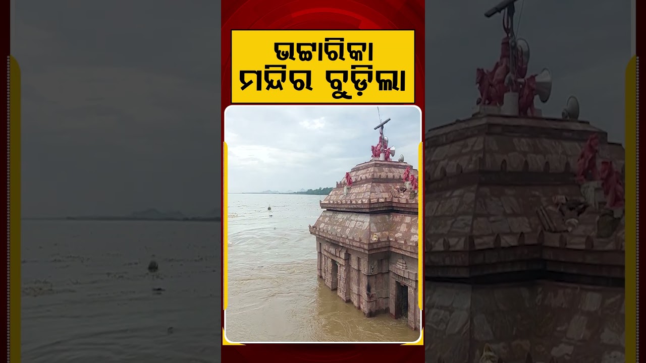 ଭଟ୍ଟାରିକା ମନ୍ଦିର ବୁଡିଲା | Argus Reels | Bhattarika Temple | Mahanadi Flood | Odisha Floods