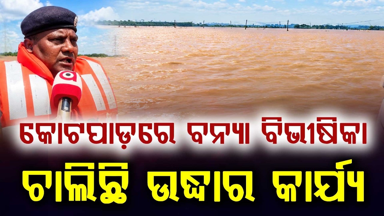 Severe Flood In Kotpad; Areas Submerged, Rescue Operation On Via Boats | Argus News