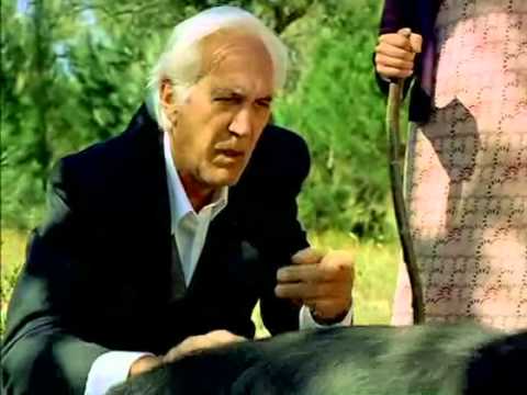 La Balsa de Piedra'